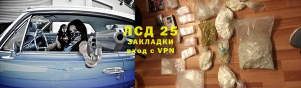 дживик Тутаев