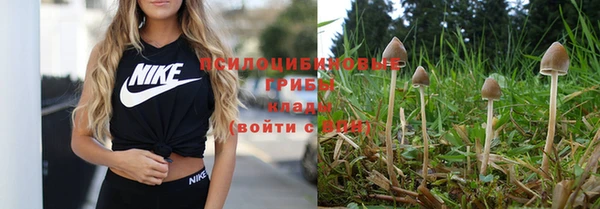 дживик Тутаев