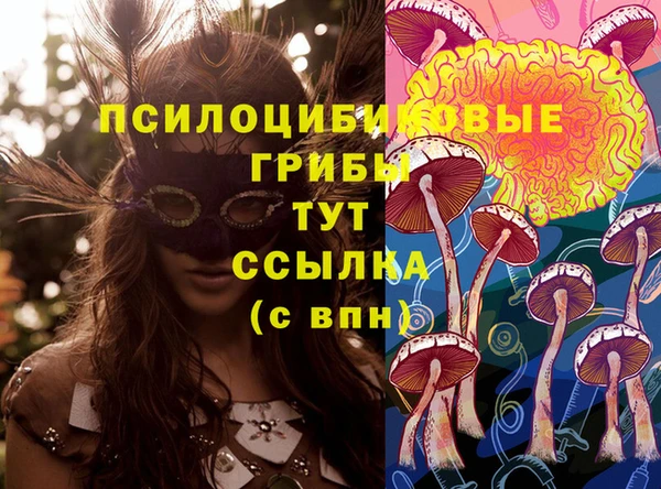 первитин Туринск