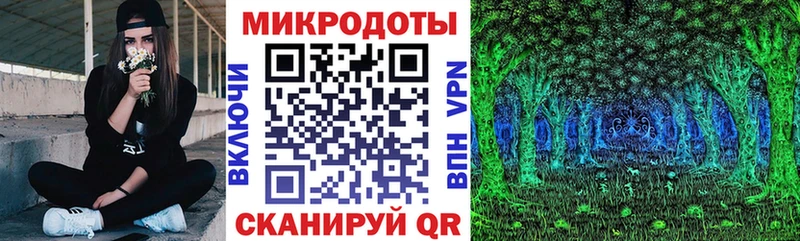 Псилоцибиновые грибы Psilocybine cubensis  Алапаевск 