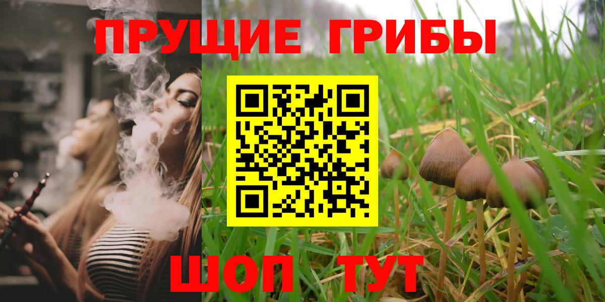 Алапаевск  Псилоцибиновые грибы мицелий  Галлюциногенные грибы Cubensis  Вход с VPN 